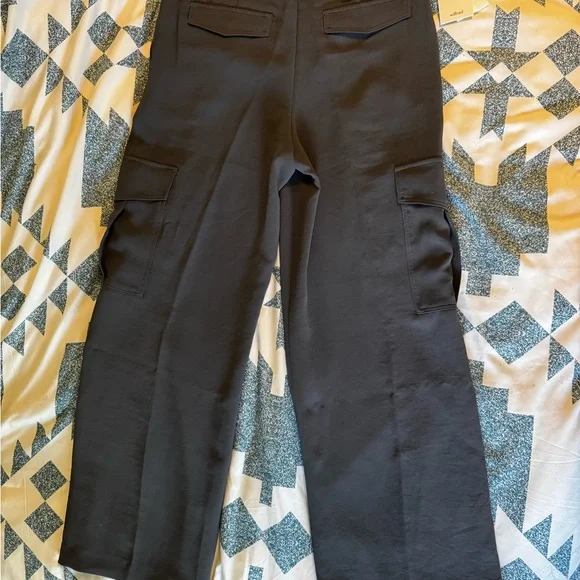 Aritzia Bridger Cargo Pants, coal grey - Picture 6 of 7